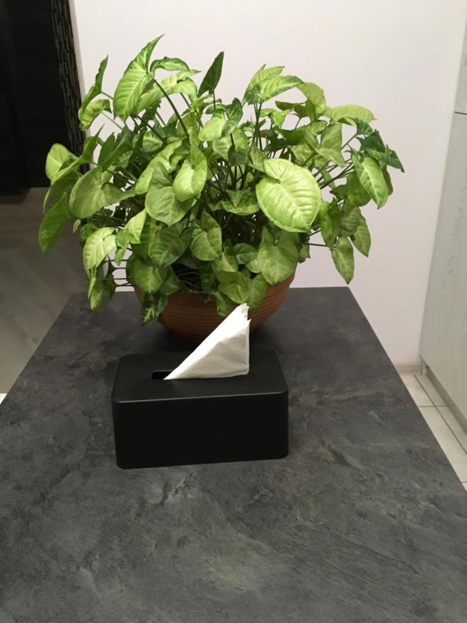 Apartment Viliamsa Οδησσός Εξωτερικό φωτογραφία